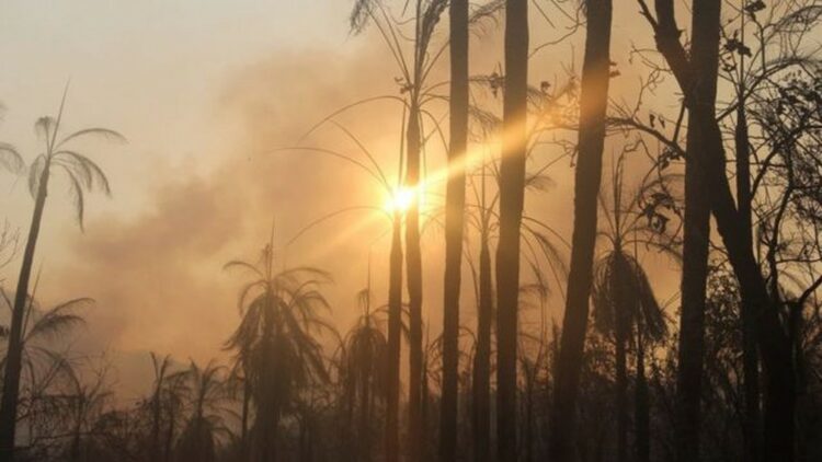Importante área de preservação da biodiversidade no Pantanal, Serra do Amolar sofreu com queimadas — Foto: Sílvio de Andrade/Governo de MS
