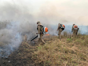 incêndio Pantanal