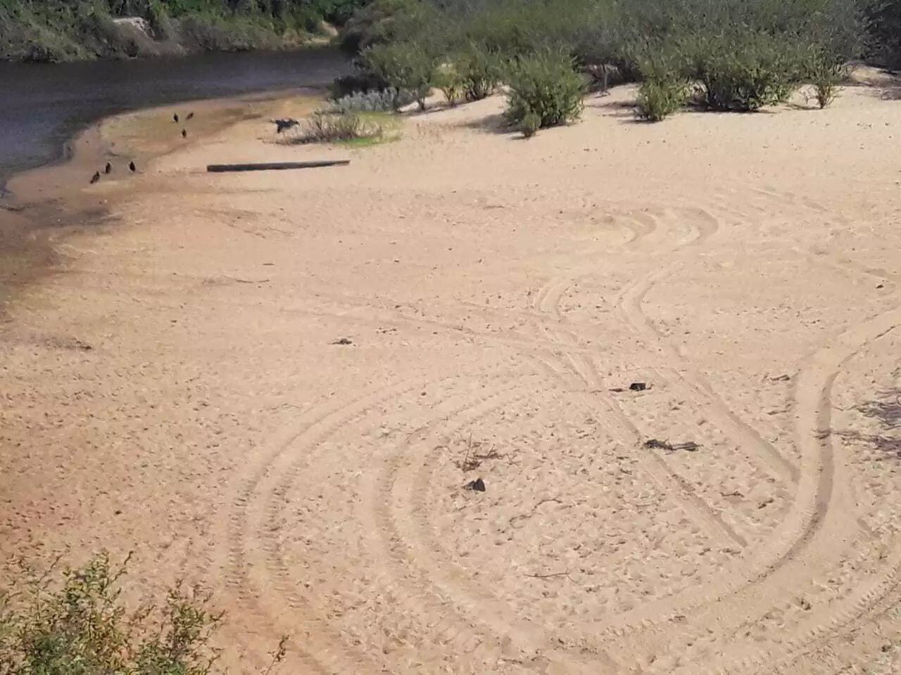 Area degradada no leito do Rio Negro, com marcas dos pneus traçados (Foto: Polícia Militar Ambiental)