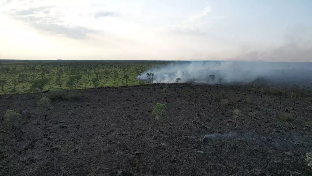 Área do Pantanal de Corumbá em que fica visível o fogo em andamento, área queimada e vegetação ainda verde. (Foto: Corpo de Bombeiros)