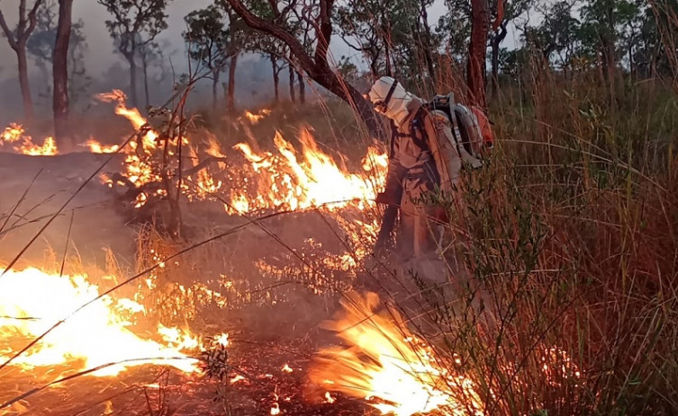 Focos de incêndio em fazendas do Pantanal