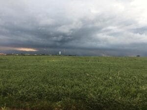 chuva
