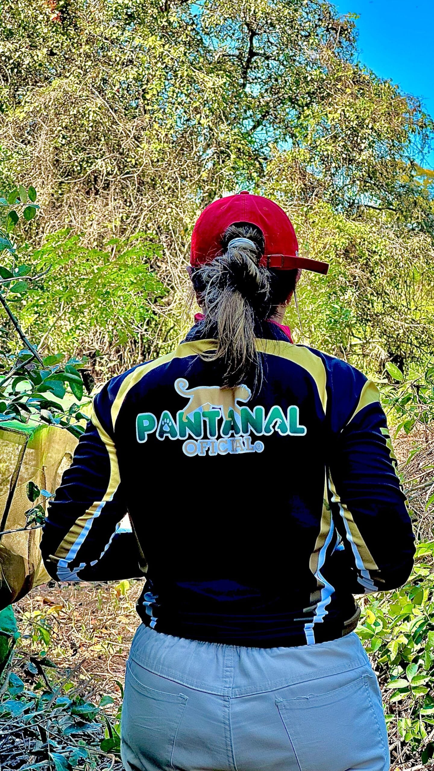 sobre nós, pantanal oficial. fauna, flora, pantaneira, pantanal, onça