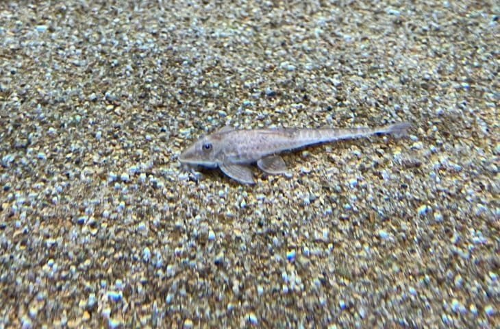 Bioparque