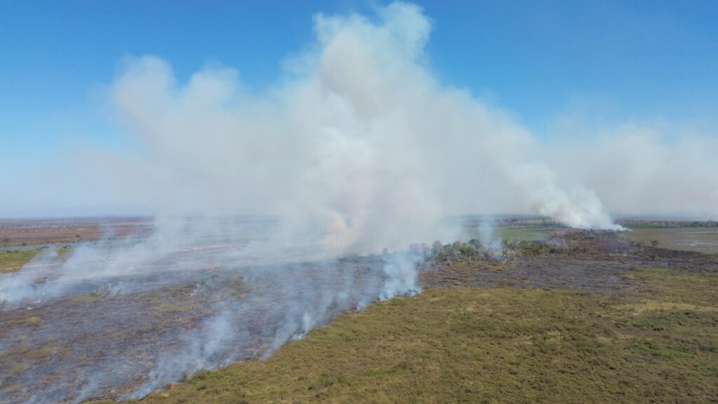 incendios pantanal, queimadas, pantanal