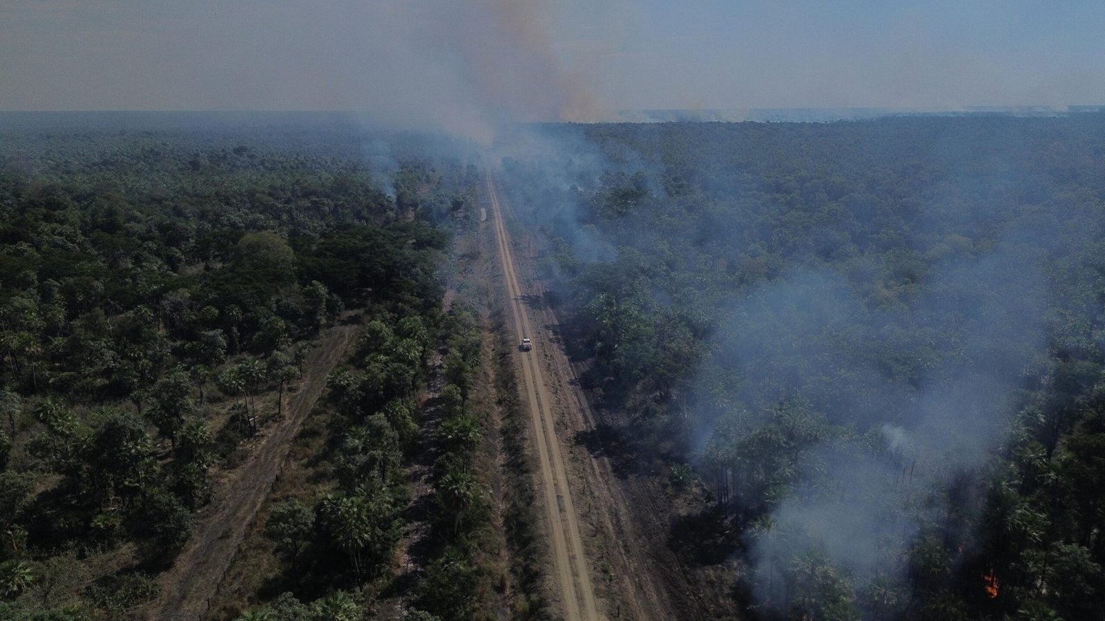 incendios pantanal, queimadas, pantanal