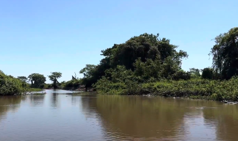 Rios, Pantanal, Mato Grosso, Mato Grosso do Sul, planície pantaneira,