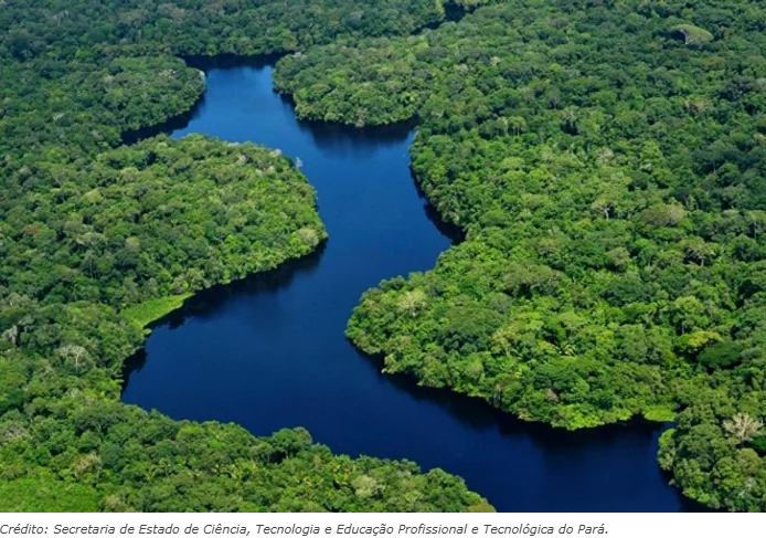 Amazonia, floresta amazonica, bioma, fauna, flora. desmatamento, crime organizado.