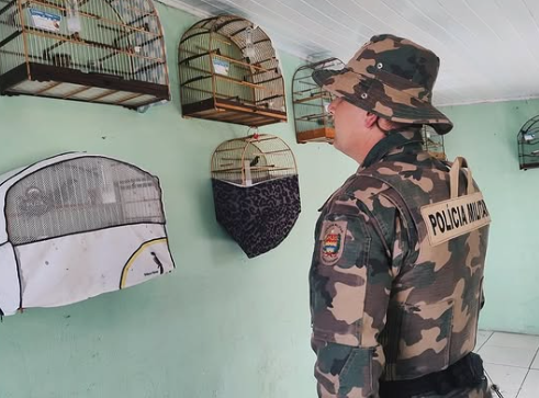 cativeiro, fiscalização, policia ambiental, pantanal.