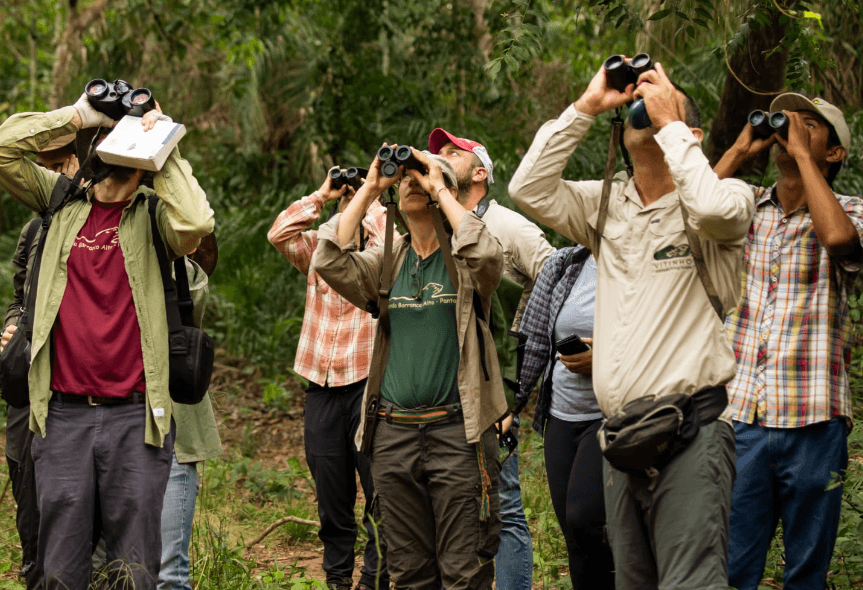 birdfair, turismo, mato grosso do sul