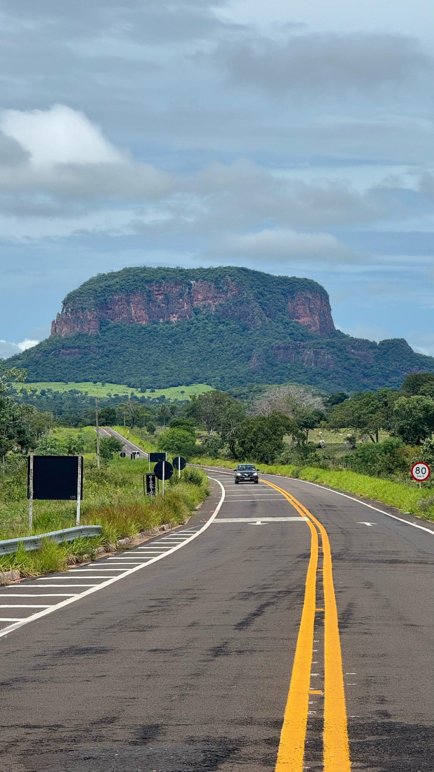 bioma pantaneiro, pantanal, pantanal sul, pantanal norte.