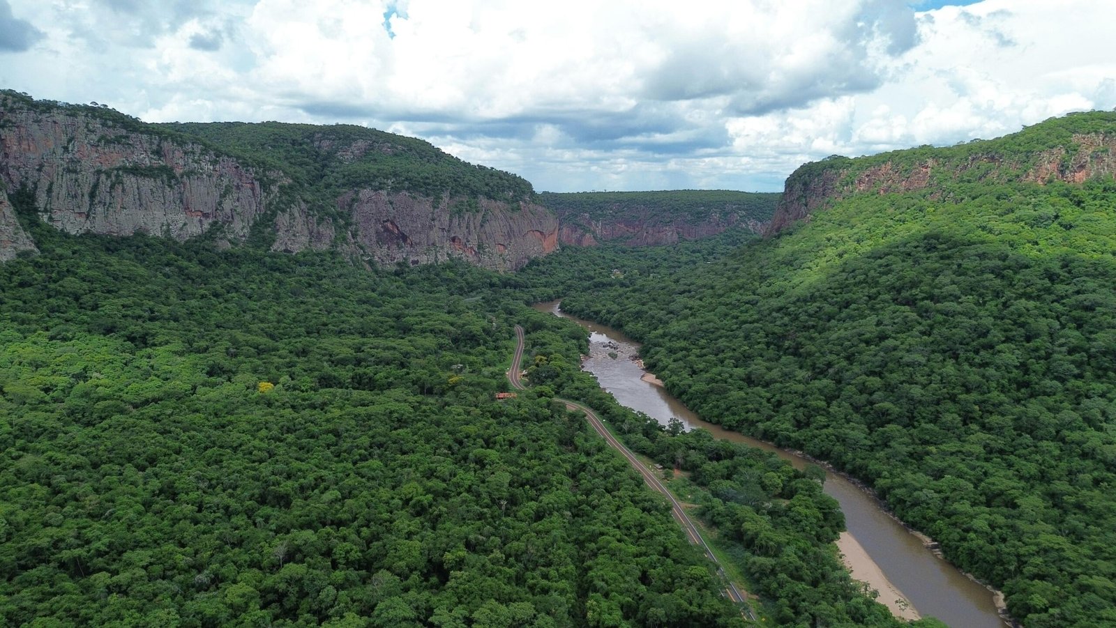 bioma pantaneiro, pantanal, pantanal sul, pantanal norte.