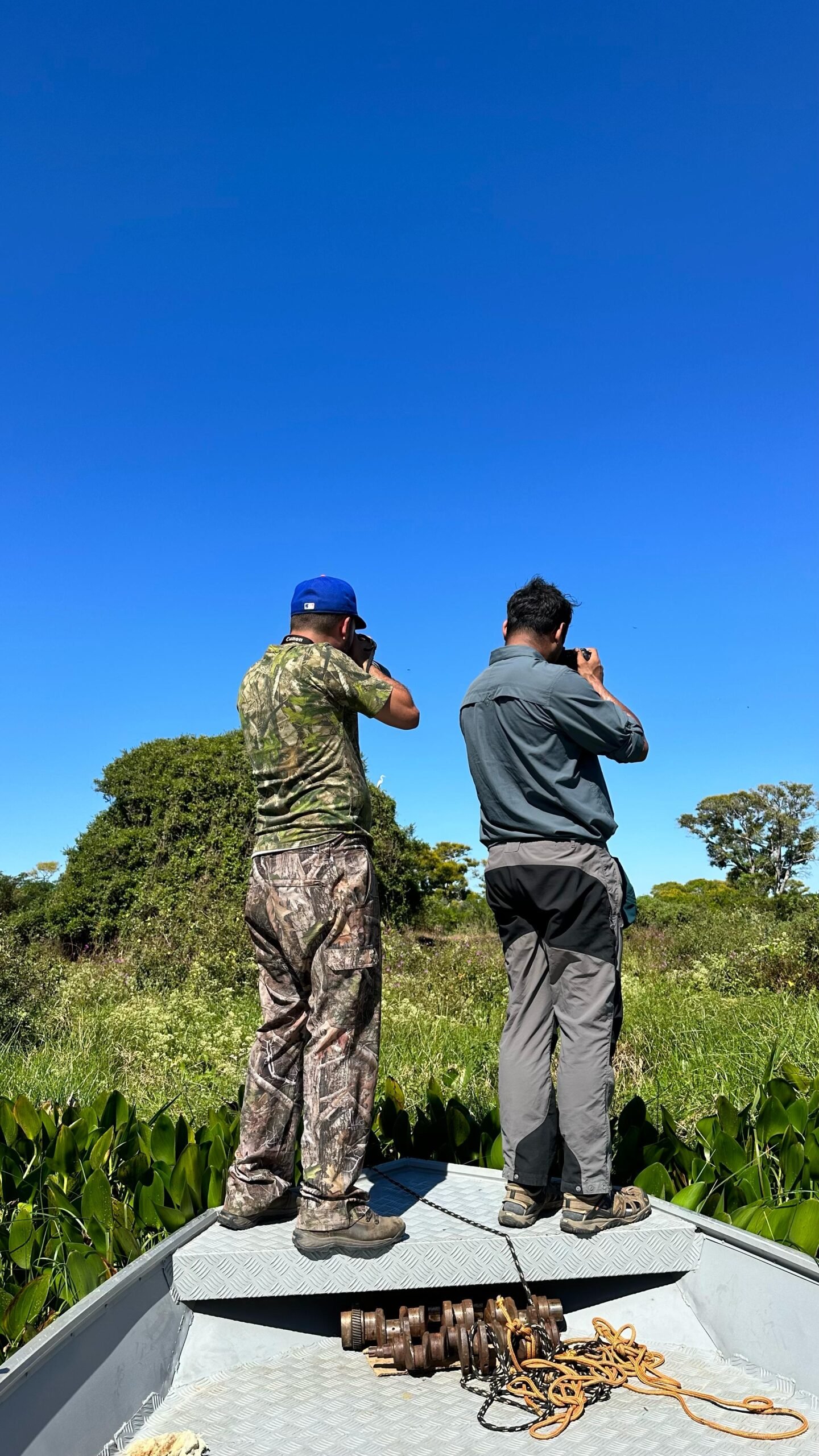 estrada transpantaneira,bioma pantaneiro, pantanal, pantanal sul, pantanal norte.