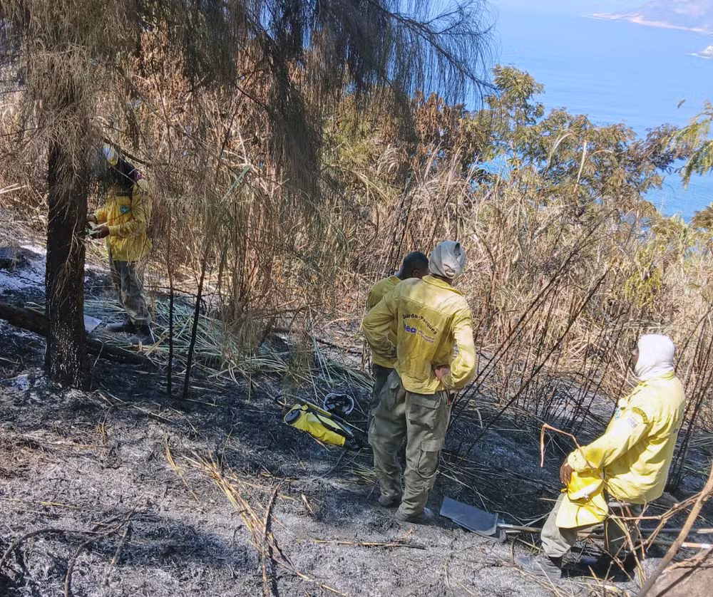 Polícia investiga influenciadores por incêndio na Prainha, Rio de Janeiro, incêndio floresta, influenciadores