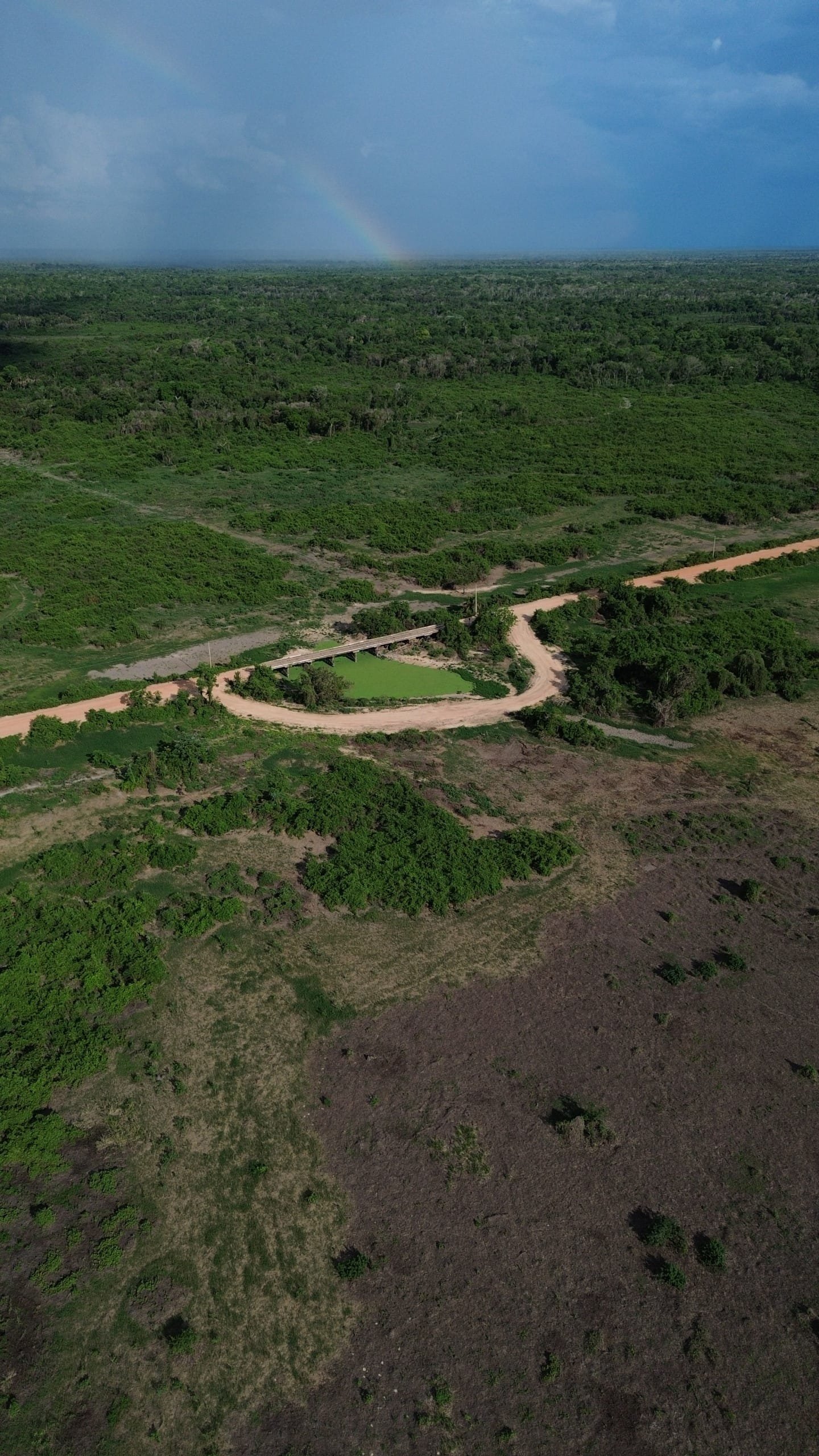 mato grosso, pantanal, pantanal norte.