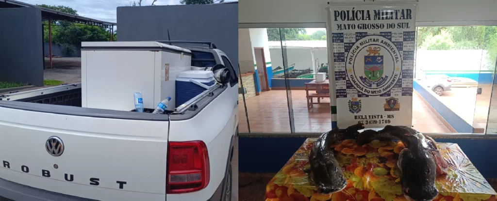 pma, policia militar ambiental, bela vista