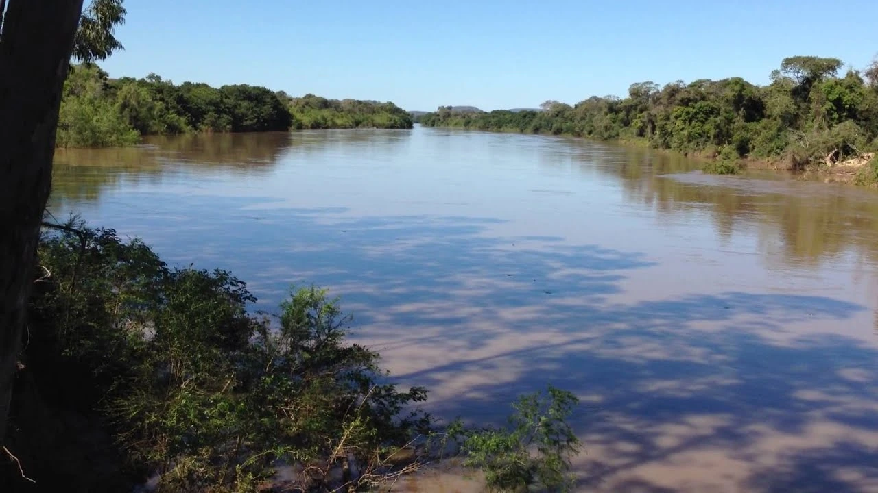 rio apa