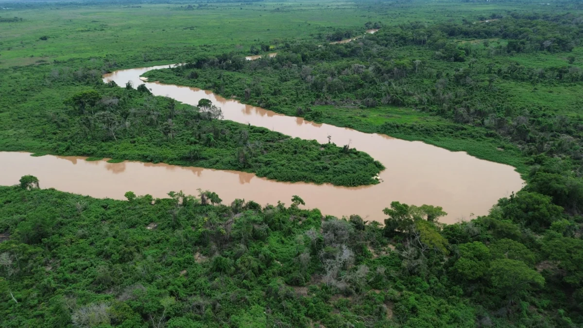 pantanal