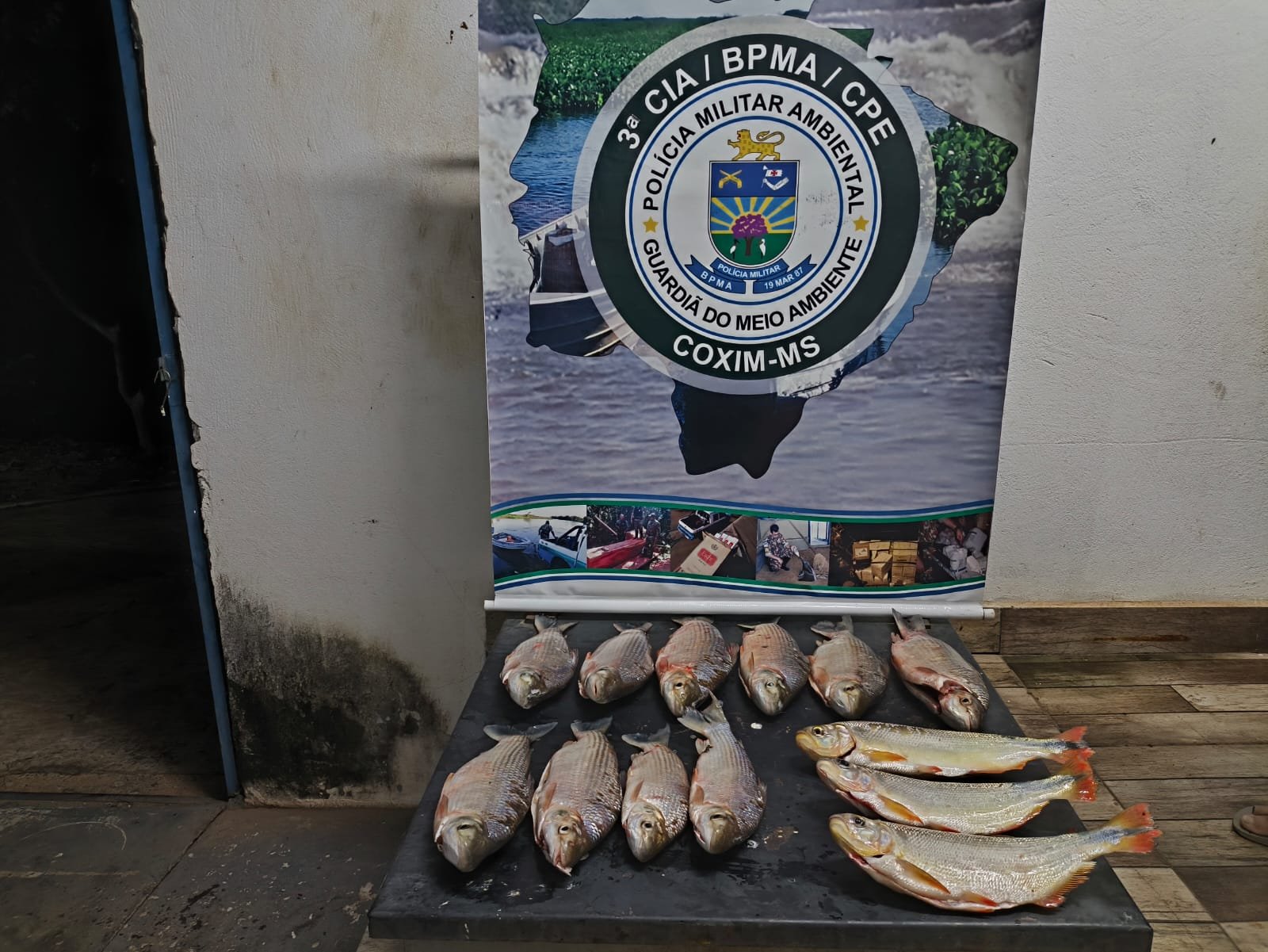 pesca irregular