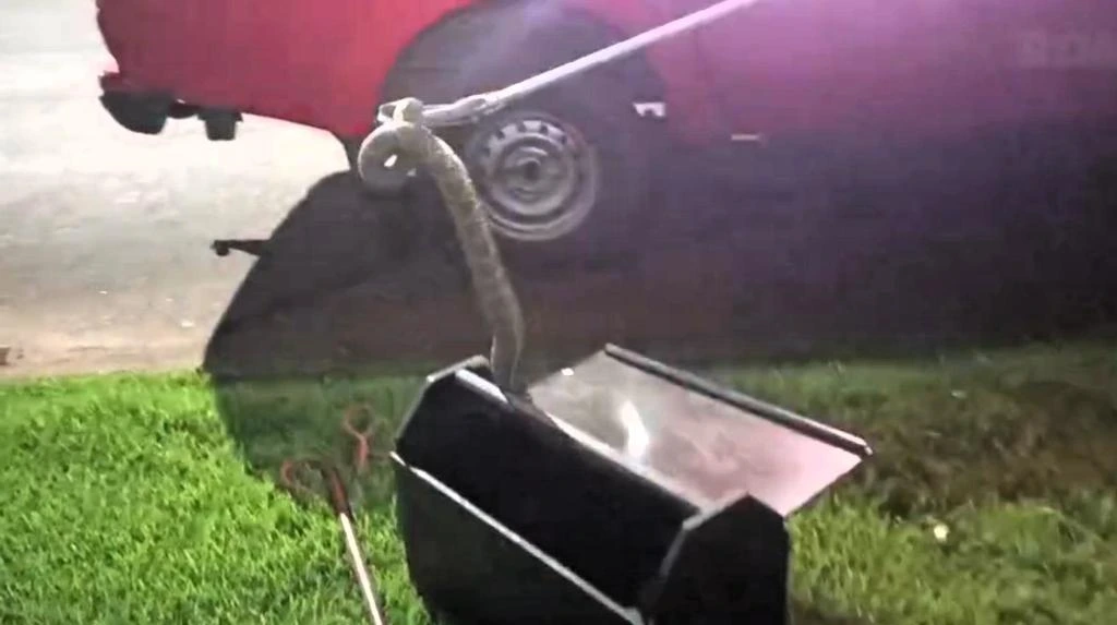 ocorrências, pitbull, mato grosso, cáscavel
