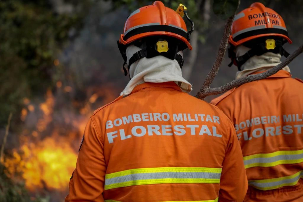 curso, combate a incêndios florestais