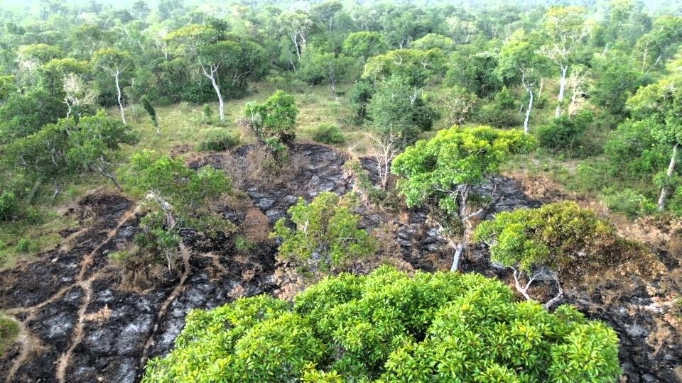 ações contra queimadas, multas, mato grosso, cbm