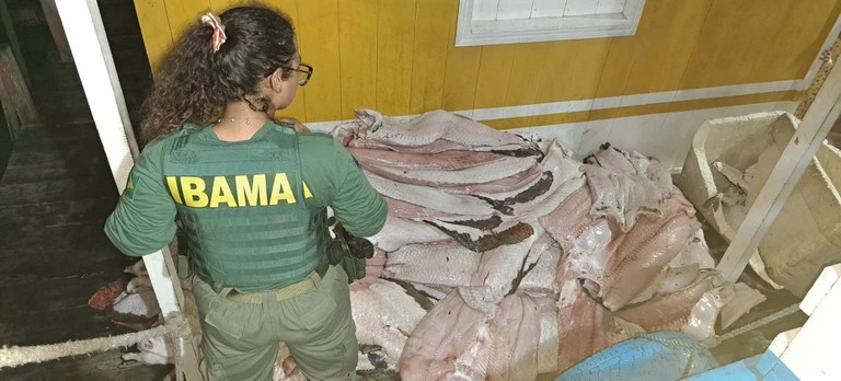 pescado ilegal, ibama