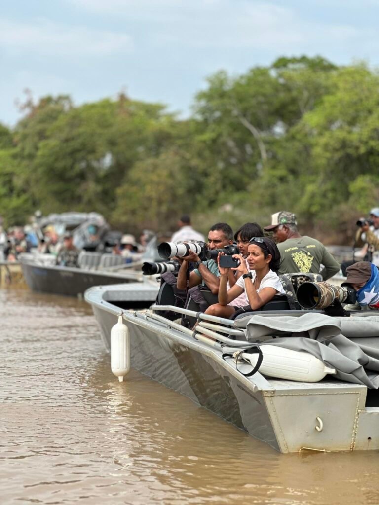 turismo, pantanal