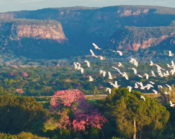 Serra de Maracaju