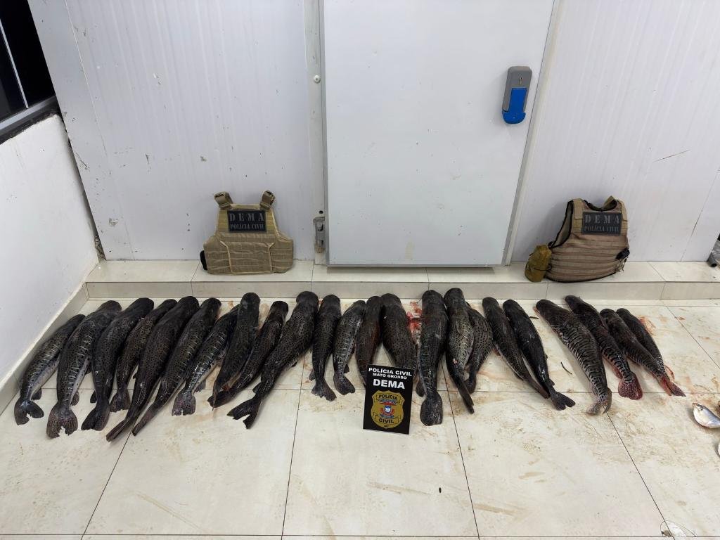 pescado ilegal