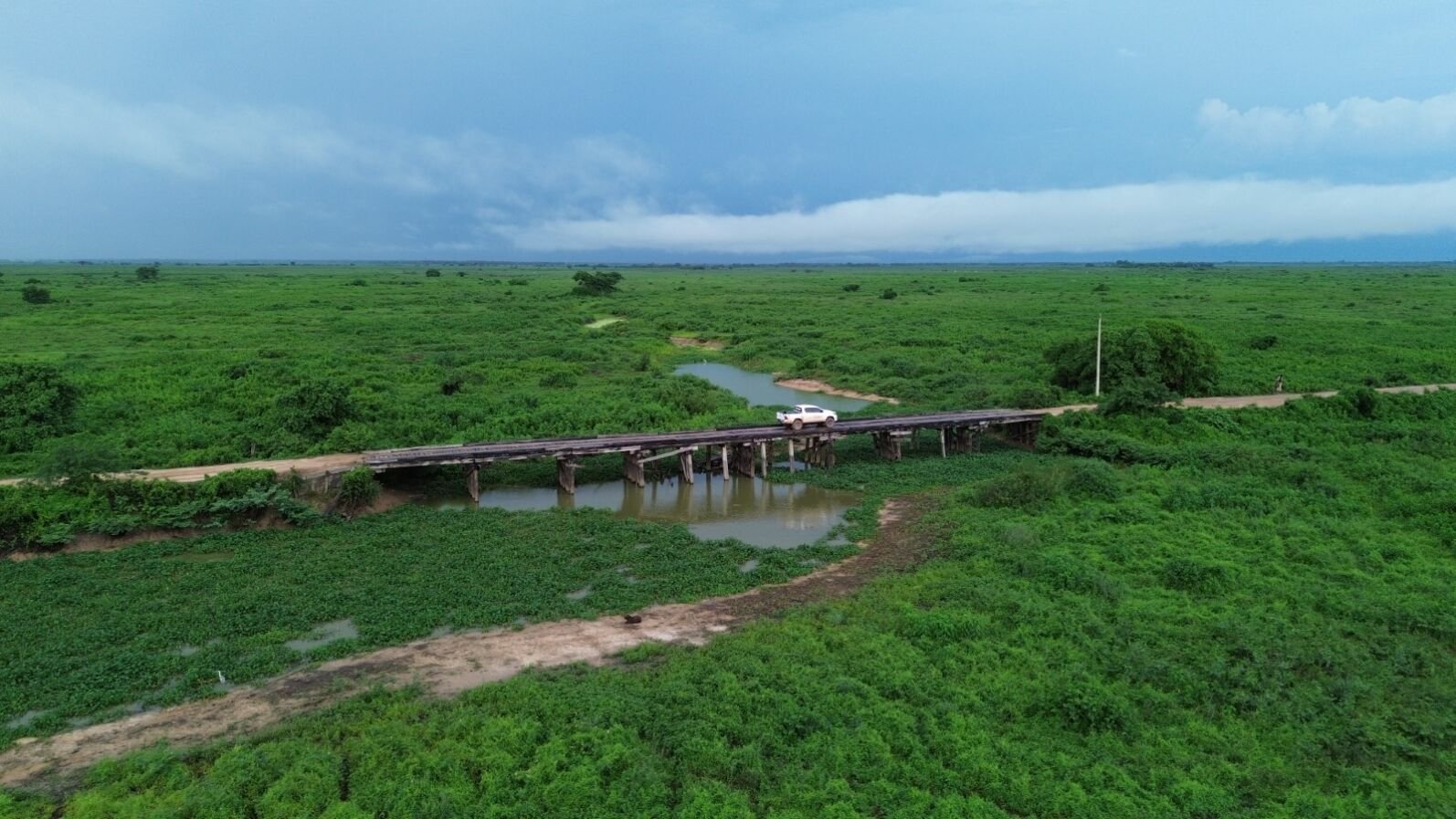 transpantaneira, pontes